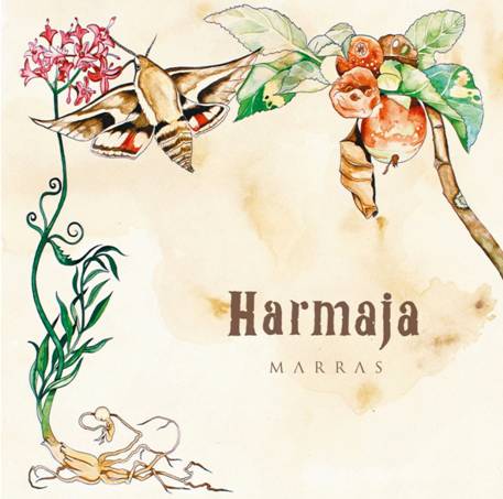 Harmaja - Marras